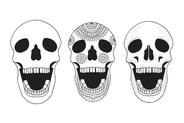 Set of skull in hand drawn vector design.
