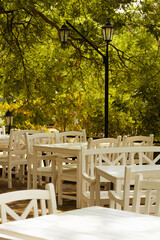 Cozy outdoor cafe in the shade of trees