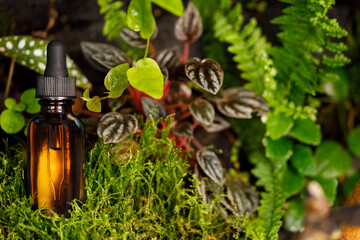 Organic natural cosmetics. alternative medicine. bottle with essential oil with dropper against background of juicy green.