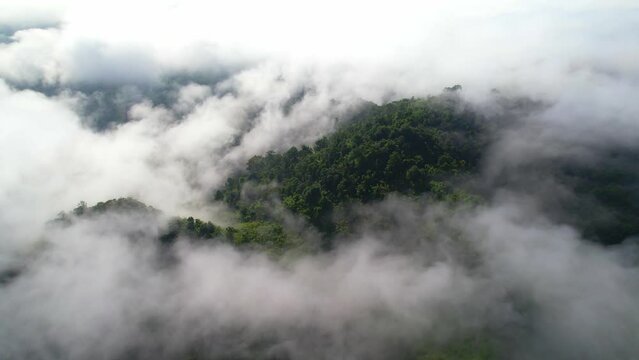 An aerial view from a drone flying over the many fogs in the mountains. Tropical forest with smoke and fog. green energy from nature. Khao sok National Park, Surat Thani, Thailand. 4K 
