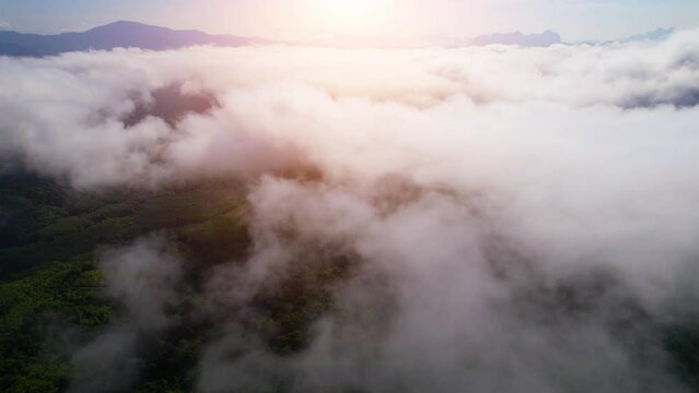 An aerial view from a drone flying over the many fogs in the mountains. Tropical forest with smoke and fog. green energy from nature. Khao sok National Park, Surat Thani, Thailand. 4K 
