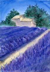 Watercolor illustration of a purple lavender field with a distant streak of trees on the horizon and a small old house
