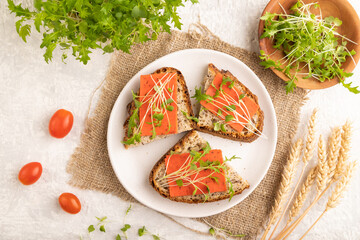 Grain bread sandwiches with red tomato cheese and microgreen on gray,  top view, close up.