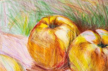 Pencil drawing illustration of fruits. apples painting