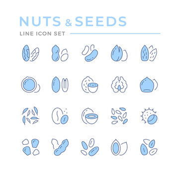 Set color line icons of nuts and seeds