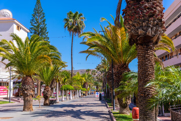 Beautiful promenade with palm trees in Los Cristianos in the south of Tenerife, Canary Islands