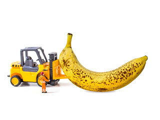 Banana isolated on white background