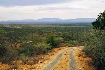 High angle view of a valley against mountains in West Pokot, Kenya