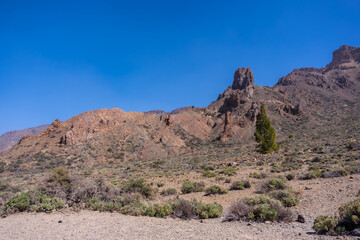 Fototapeta na wymiar View from the Boca Tauce viewpoint in the Teide Natural Park in Tenerife, Canary Islands