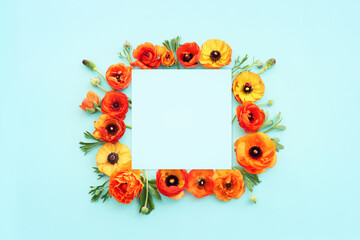 Top view image of yellow buttercup flowers composition over blue pastel background
