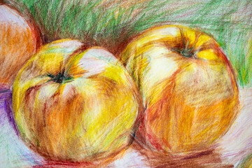 Pencil drawing illustration of fruits. apples painting