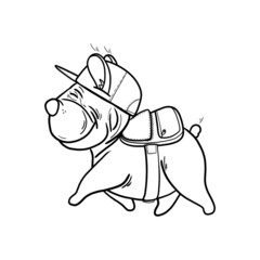 Funny french bulldog with a backpack for a walk, cute puppy, beloved pet