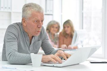 Portrait of senior man working with laptop at modern office