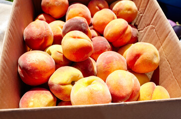 Fresh ripe peaches as background from orchard, top view. Peaches in a cardboard box, closeup. Healthy food in fruit market