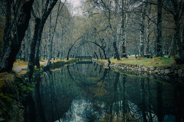 Reflexo
