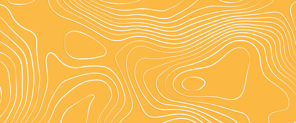 Topography relief, Vector contour topographic map background, vector illustration of topographic line contour map, Outline cartography landscape. Modern poster design. Trendy cover with wavy lines.