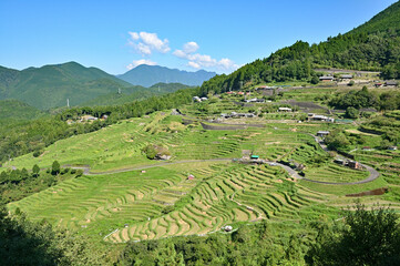 丸山千枚田