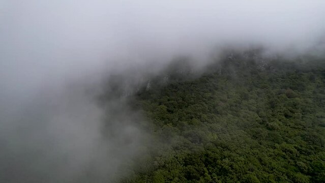 Sideways pan of green forest mountain with clouds. Heavy fog drifting by from left to right side.