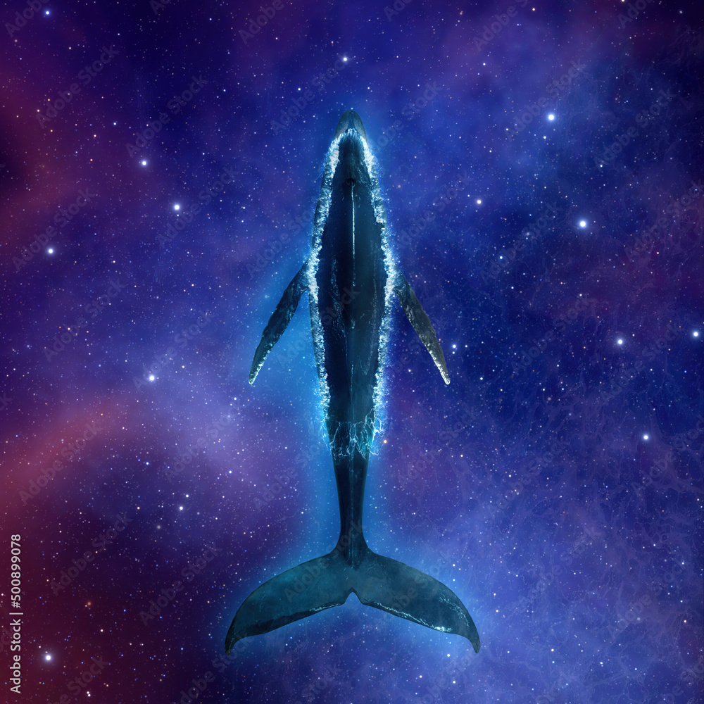 Wall mural big whale swims in deep space of stars, nebulae and galaxies. fantasy landscape cosmos diving blue w