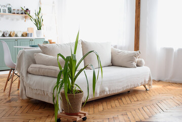 Living room. Sofa with white blanket.