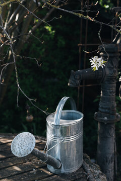 watering can on well with blossom