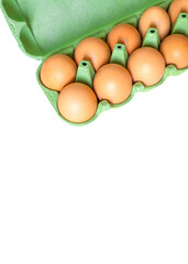 brown chicken eggs in green eco cardboard egg tray isolated on white