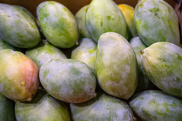 Mango fruit on the market stall. Group of fresh green mango for sell. Selective focus.