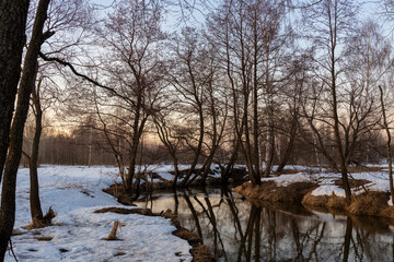 Melting ice and snow. Spring landscape, evening forest with a river. The beginning of spring. Awakening of nature. Charming landscapes of spring nature.