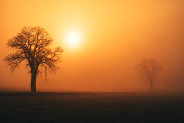Wchód słońca we mgle