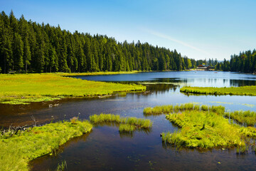 Beautiful Big Arber lake with its swimming islands in the Bavarian Forest, Germany.