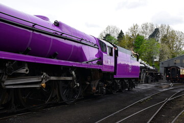 Naklejka premium the taw valley re painted purple to celebrate the queens platinum jubilee 