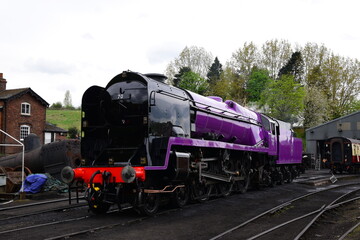 Fototapeta na wymiar the taw valley re painted purple to celebrate the queens platinum jubilee 