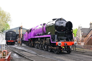 Fototapeta na wymiar the taw valley re painted purple to celebrate the queens platinum jubilee 