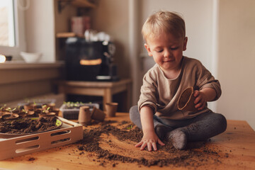 Mess and dirt on a table while little boy is playing with potted seedlings at home.