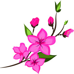 Vector image of spring blooming  peach branch. Pink flowers with leaves.