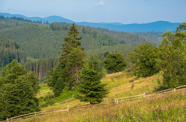 Picturesque summer Carpathian mountain countryside, Ukraine.