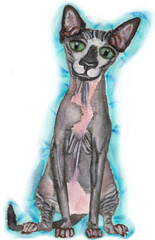 Art with an isolated sitting Sphynx cat. Hairless cat with a grey pink skin ,green eyes Used brush pens on paper Background is flashy light blue is left only a bit around. Mar 2021