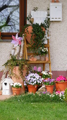 Fototapeta na wymiar blühende Gartendekoration am Hauseingang