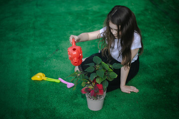Młoda dziewczyna podlewająca kwiata w doniczce - obrazy, fototapety, plakaty