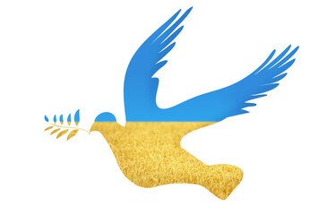 national and patriotic concept - silhouette of dove of peace with olive branch in colors of ukrainian flag isolated on white background
