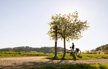 Frau mit Fahrrad genießt die letzten Sonnenstrahlen im Frühling, Pause unter blühendem Apfelbaum..