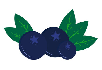 Juicy blueberries with leaves. Summertime. Hand drawn design element for poster.