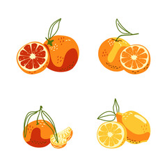 Vector set of citrus fruits. Orange, tangerine, grapefruit, lemon. Isolates on a white background in a hand-drawn style for decoration