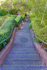 Outdoor stairs with metal handrails and fallen petals on the concrete steps