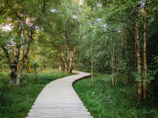 Schwarzes Moor in der Rhön
