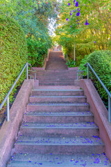 Straight concrete staircase with fallen petals from the flowering trees at San Francisco, California