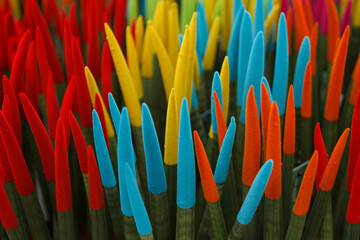 Vibrant colors flowers close up, multicolored