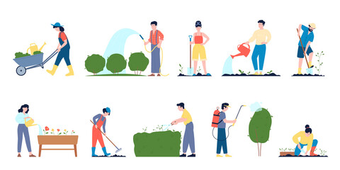 People gardening lush plants in wood pots and ground. Transplanting organic greenery, summer rest in village. Agriculture hobby, recent vector planting characters