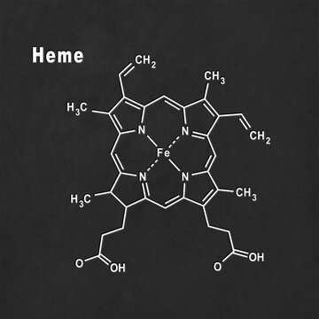 Heme molecule Structural chemical formula