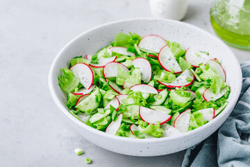 Spring vegetable salad. Fresh radish cucumber salad with green lettuce in bowl